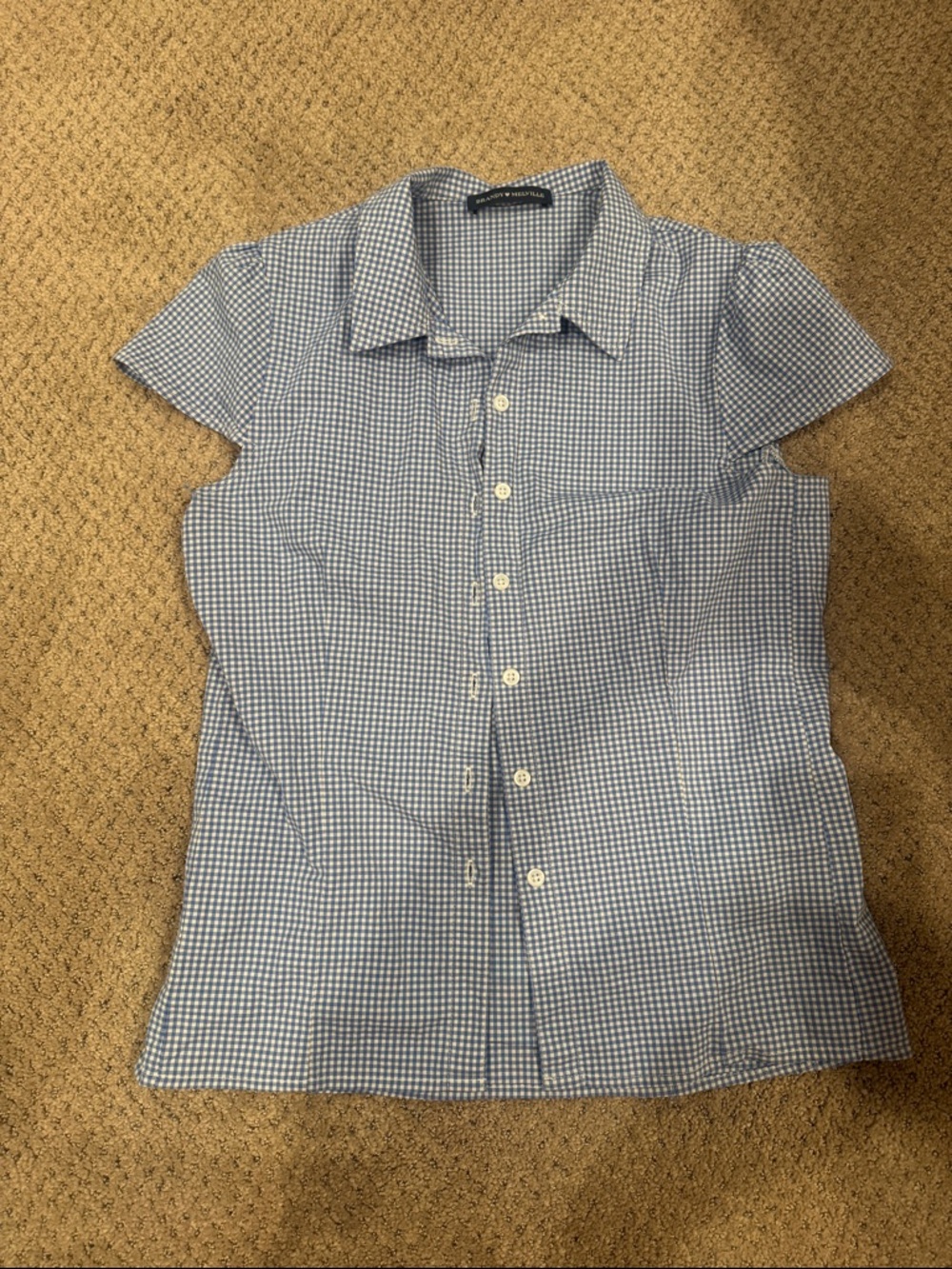Brandy Melville Blue and White Gingham Button-Up Blouse